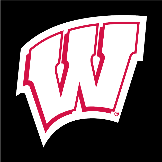Wisconsin Badgers 1991-Pres Alternate Logo iron on transfers for clothing